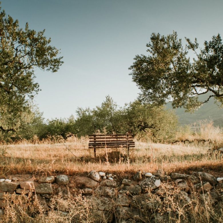 orfion nftree nft