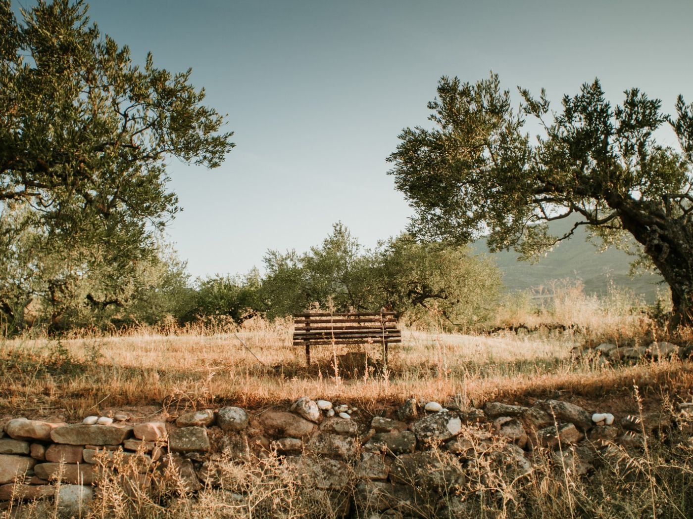 orfion nftree nft
