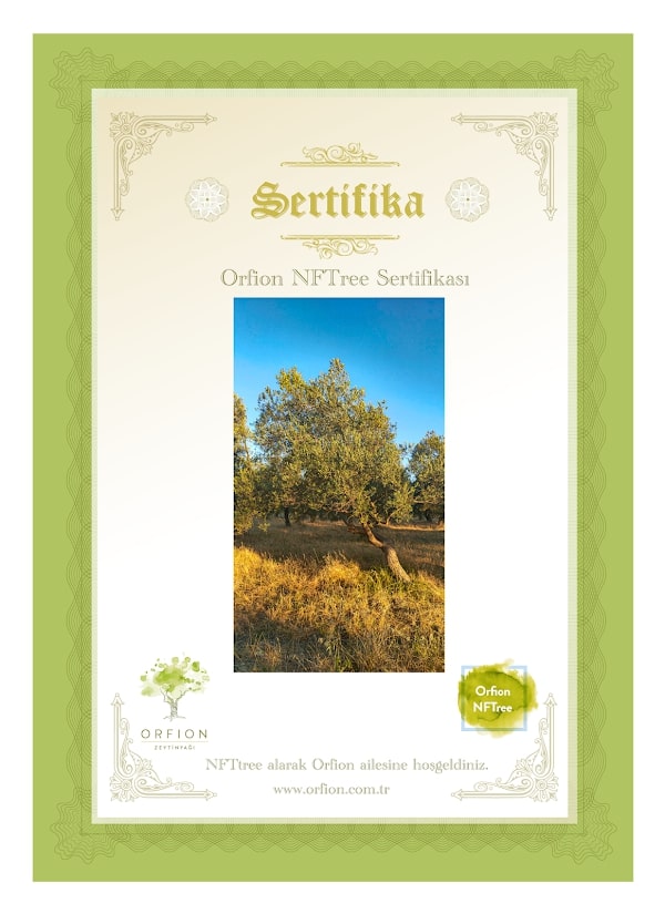 nft ile zeytin ağacı orfion nftree