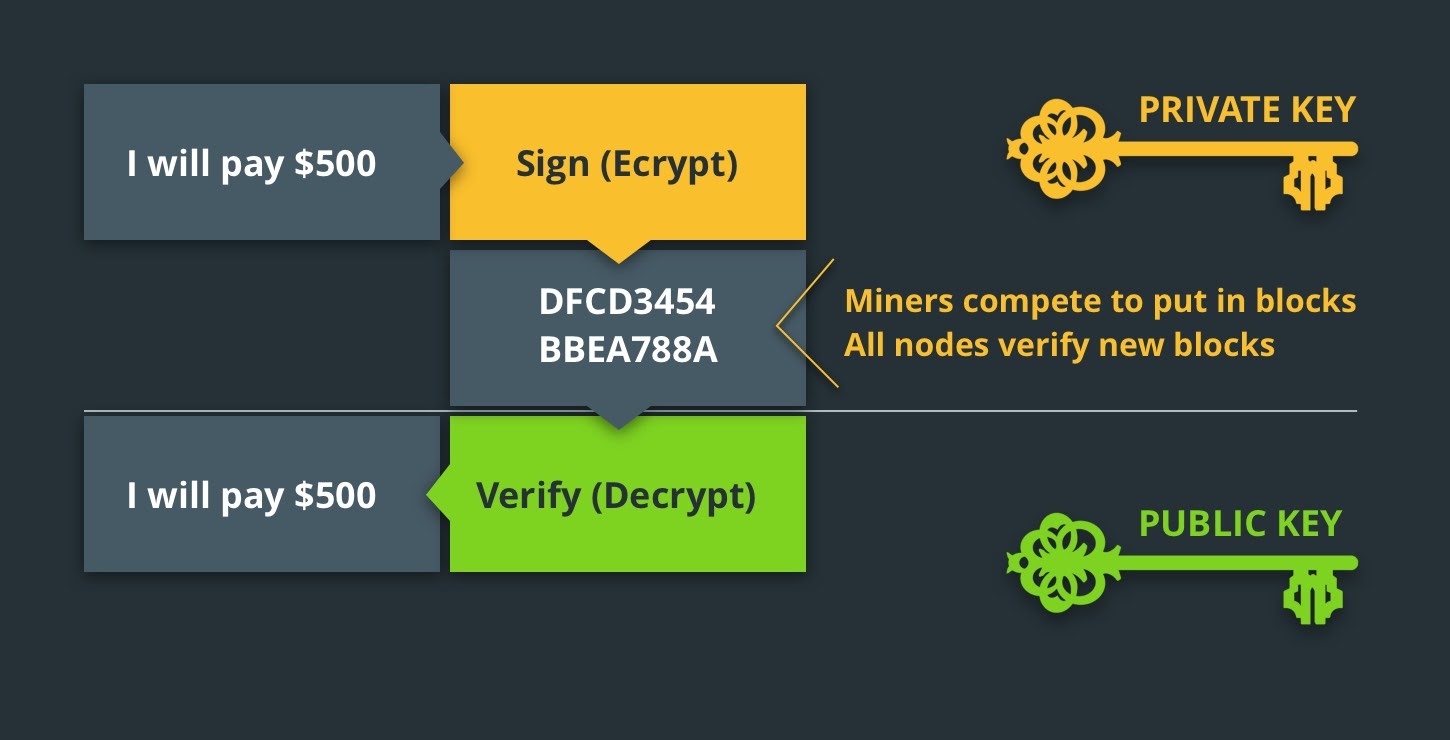 Blockchain Teknolojisine Kapsamlı Bir Bakış
