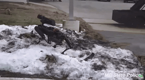 robot-köpek-spot-gelecek-burada-gif