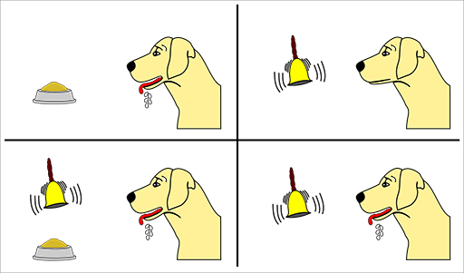 Pavlov'un köpeği ve koşullandırma deneyi illüstrasyonu 